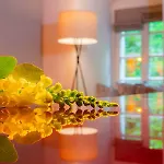 Romantik Hotel-restaurant Altenberger Hof فندق 4*