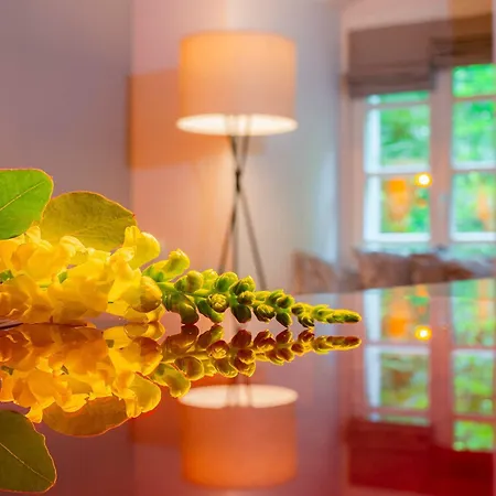 Romantik Hotel-restaurant Altenberger Hof מלון 4*